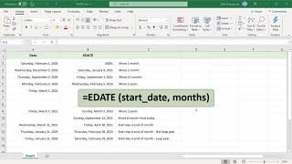 How to Use EDATE function in Excel  Office 365 [upl. by Rollo444]