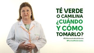 Té verde o camilina cuándo y cómo tomarlo Tu Farmacéutico Informa  PlantasMedicinales [upl. by Kiyoshi473]