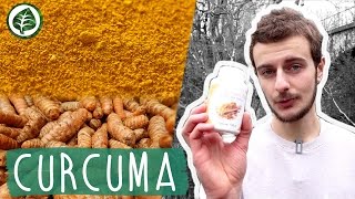 CURCUMA  une épice aux Bienfaits Miraculeux [upl. by Marigolda]