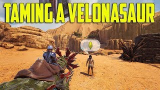 TAMING A VELONASAUR  OFFICIAL SMALL TRIBE EXTINCTION PVP S3 Ep3  ARK Survival Evolved [upl. by Adar]