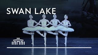 Dance of the little swans from Swan Lake  Dutch National Ballet [upl. by Norita]