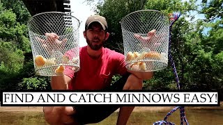 How to Find AND Catch Minnows for Bait [upl. by Eihtak]