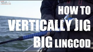 HOW TO Vertically Jig BIG Lingcod  VIP Outdoors [upl. by Dnana543]