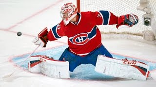 Best Saves in NHL History [upl. by Adnowal]