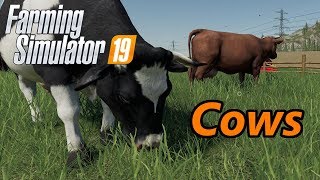 Farming Simulator 19 Tutorial  Cows [upl. by Lissa]