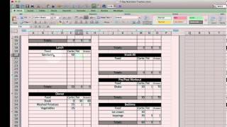 Excel Nutrition Tracking Template [upl. by Aliban]