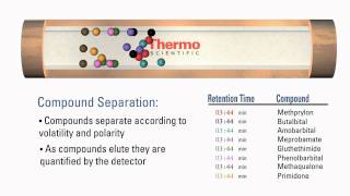 How GC Columns Work [upl. by Tnomed560]