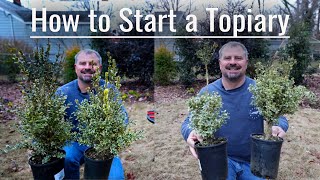 How to Start a Topiary🌲 [upl. by Inittirb]