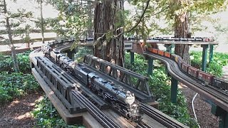 MIle Long Steam Train Official Run [upl. by Yevreh]