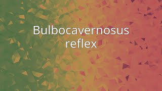 Bulbocavernosus reflex [upl. by Raddatz]