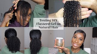 TESTING DIY FLAXSEED GEL  Natural Hair  TheLifestyleLuxe [upl. by Greenwell529]