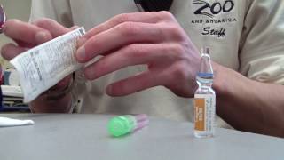 How to Prepare Epinephrine 11000 [upl. by Heeley74]