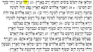 Torah Reading  Genesis Chapter 1 [upl. by Fleur696]