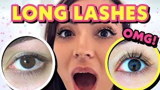 CASTOR OIL FOR EYELASHES the RIGHT way to use  tips to grow longer eyelashes [upl. by Utas732]