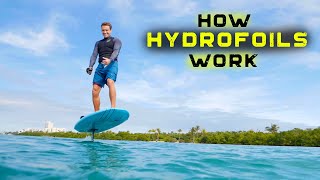 HYDROFOILS  How they work  The basics [upl. by Dom673]