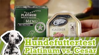 Hundefutter Test Cesar vs Platinum Menu [upl. by Nattirb]