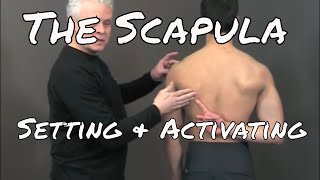 Setting and Activating the Scapula  Ask Dr Abelson [upl. by Anitnatsnok]