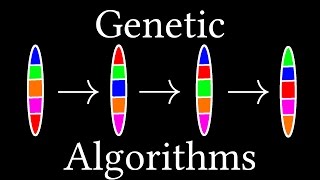 How algorithms evolve Genetic Algorithms [upl. by Gannie976]