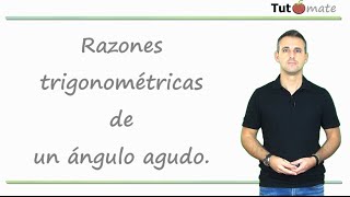 Razones trigonométricas de un ángulo agudo [upl. by Brigette]