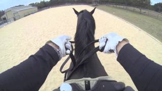 Virtual View How To Hold amp Use Double Bridle Reins [upl. by Annayar]