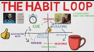 4 stages of The Habit Loop [upl. by Yaniv275]