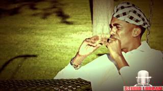 DALMAR YARE 2013 WAAN IMANAYAA OFFICIAL VIDEO DIRECTED BY STUDIO LIIBAAN [upl. by Kralc]