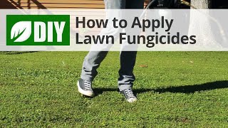 How to Use Lawn Fungicides For A Lawn Fungus Treatment [upl. by Guidotti]