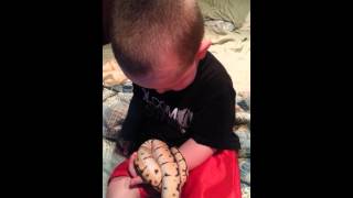 Snake eats human baby [upl. by Ahseenal872]