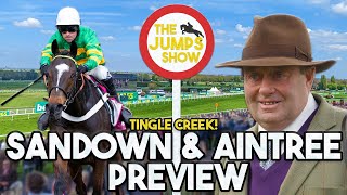 SANDOWN TINGLE CREEK PREVIEW  Horse Racing Tips [upl. by Illib]