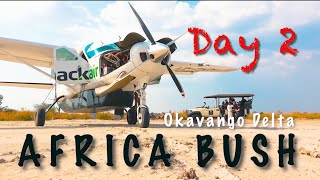 Africa Bush Flying  Cessna Grand Caravan EX Botswanas Okavango Delta Cargo  bush plane Day 2 [upl. by Oiracam364]