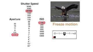 How to Pick the Best Aperture Shutter Speed and ISO Settings with John Greengo  CreativeLive [upl. by Anekahs358]