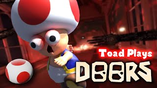 Toad Plays Roblox DOORS [upl. by Iru756]