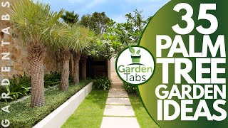 35 Palm Tree Garden Ideas [upl. by Dario]