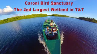 Caroni Bird Sanctuary The 2nd Largest Wetland in Trinidad and Tobago  Scarlet Ibis  Nature [upl. by Michaela]