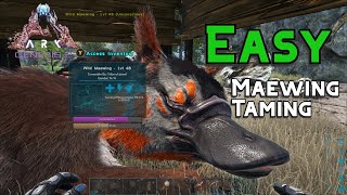 Ark How to Tame a Maewing Maewing Trap  Preferred Kibble [upl. by Salguod32]