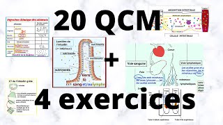 20 QCM  4 exercices corrigés digestion et absorption nutriments SVT 3 Année collège [upl. by Gunilla843]