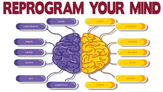 Dr Joe Dispenza  Learn How to Reprogram Your Mind [upl. by Anelah]