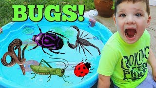 Learn Names of Bugs with Insect Toys For Kids Learn Colors with Bugs and Caleb amp Mommy [upl. by Eelano]