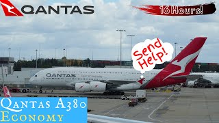 Qantas A380 ECONOMY Sydney to Dallas Making my own first class [upl. by Melinda]