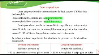 Bac Sciences  Sujet Corrigé de Génétique Humaine  Génétique des Diploïdes [upl. by Judsen]