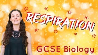 Respiration  GCSE Biology [upl. by Yran]