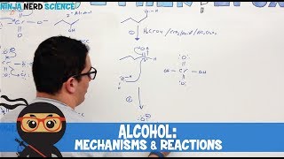 Organic Chemistry Alcohol Mechanisms amp Reactions [upl. by Attelrak]