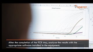 PCR Real Time qPCR procedure — OPERON [upl. by Nnaycart]