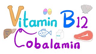 Vitamin B12 Cobalamin 🐚 🥩 🐠  Most Comprehensive Explanation [upl. by Elliot]