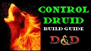 Wildfire Druid Build Guide DampD [upl. by Adias]