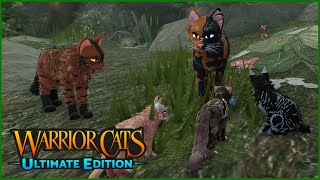 Kits for ShadowClan  Warrior Cats Ultimate Edition [upl. by Gleda99]