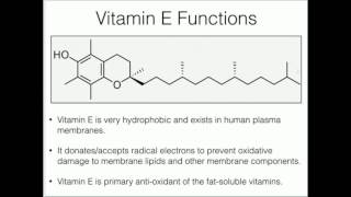 Contact Allergy to DL Alpha Tocopherol [upl. by Josefina]