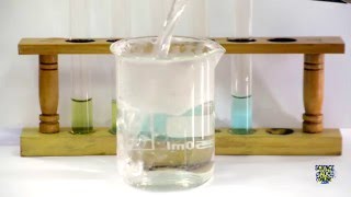 Food Tests  Iodine Biuret Benedicts Ethanol DCPIP [upl. by Ezana993]