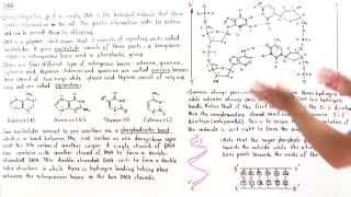 Introduction to DNA [upl. by Spark344]