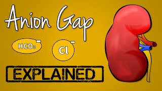 Anion Gap EXPLAINED [upl. by Carola]